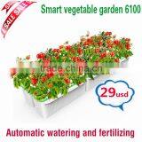 Wholesale Hanging Green Plants for Pots Hanging on the Wall thumbnail-1