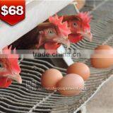 TA NO.1 automatic layer cage/poultry chicken cage for kenya farm