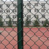 good supplier sell galvanized chain link fence, diamond wire netting, chain link wire mesh