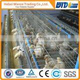 TUV certificated factory chicken cage