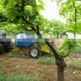 Trailer Model Tractor Use Farm Garden Fruit Tree Orchard Vineyard Boom Tank Air Blast Sprayer With High Press Diaphragm Pump thumbnail-3