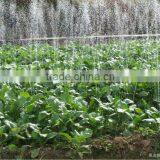 Micro-spray Belt Production Line2013 thumbnail-1