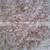Nutrition Rice Production Line thumbnail-1
