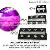 High Power Quality Hydroponics LED Grow Lighting COB Indoor Growing Light thumbnail-3