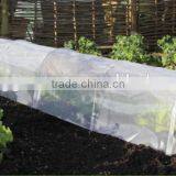 Tunnel Growhouse and Multi Cloche thumbnail-1