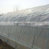 Green House thumbnail-1