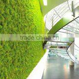 2017 Hot Sale Factory Price Artificial Plant Wall Artificial Plastic Plant Artificial Grass Wall thumbnail-1
