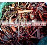 High Quality Broken Cassia Cinnamon thumbnail-2