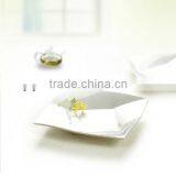 Top Grade Western-style Food Beaf Plate , Melamine Plate thumbnail-1