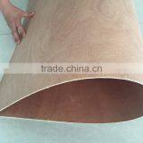 China Shandong Linyi Factory Best Flexible Bent Plywood for Chair Seat thumbnail-3