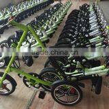 Chinese Factory Mini Foldable Bike thumbnail-1