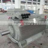 6KV High Voltage Electric Motor thumbnail-4