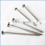 Hot Dipped Common Iron Wire Nails Wood Nail thumbnail-2
