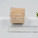 TH-055 Wholesale Plasitc Big Bootle Wrappped Disposable Toothpick in Bulk thumbnail-3