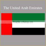 Custom Arab Flag T-shirt Summer Design The United Arab Emirates Flag Cool Boys Arab t Shirt thumbnail-2