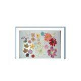 To Be Your Scrapbooking Agent In Yiwu China thumbnail-1