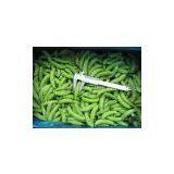 Frozen Sugar Snap Peas