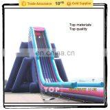 Giant Inflatable for adult & kids, water slide, inflatable slide