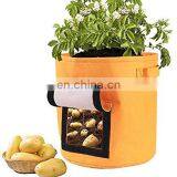 Wholesale Vegetable Felt Grow Bag Tree Planting for Plants thumbnail-3
