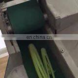 Onion Vegetable Washing Peeling Vegetable Cutting Machine thumbnail-1