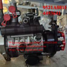 Original High Pressure Fuel Pump Diesel Fuel Injection Pump 9521A081H For Perkins CAT 320D2