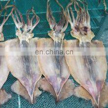 Dried Seafood Whole Squid