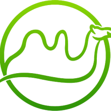 Qianqian Technology Co,.Ltd company overview - view 1 thumbnail