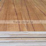 Good Price AAA Grade Natural Burma Teak Plywood Keruing Core Gurjan Back for India and Iraq Market thumbnail-1