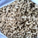 BLANCHED PEANUT KERNELS ,PEANUT IN SHELL