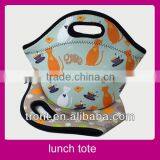 Fitness Insulated Fashio Lunch Bag Set