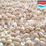 Blanched Peanut Kernel 41/51