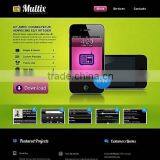 Software Development Services India thumbnail-5