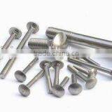 China Supply High Quality Hardware Aluminium Steel Carriage Bolt