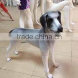 Fashion FRP Lifelike Animal Dog Mannequin thumbnail-5