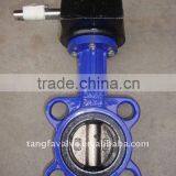 Cast Iron Worm Gear Wafer Butterfly Valve