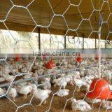 Hexagonal Decorative Chicken Wire Mesh