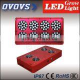 Hot Promotion 360w 60 Degree Led Grow Lights for Plants