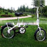 New design hot sale cheap 14inch folding bike / folding bicycle