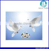 Latest Style RFID Pigeon Ring for Animal Tracking