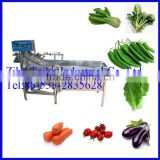 SUS 304 Roots Vegetable Washer Machine