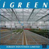 Glass Greenhouse Manufacturer From China thumbnail-6