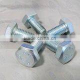 China Fastener Hexagonal Bolt DIN933