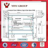 Top Sale Galvanized Steel New Zealand Cattle Yard thumbnail-3