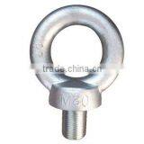 Lifting Eye Bolt thumbnail-1