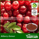 Supply Bilberry Anthocyanidin Powder Bilberry Extract thumbnail-1