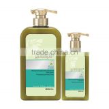 Private label Avocado anti dandruff best OEM organic blue shampoo