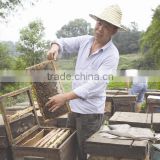 Hot sale china fir wood beehives box /Bee hive box Good quality bee box for apiculture