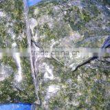 Egyptian Frozen Spinach thumbnail-2
