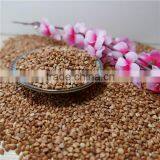 High Quality Roasted Buckwheat Kernel Price thumbnail-5