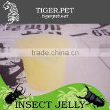 New Products Assorted Pudding Cup Jelly thumbnail-5